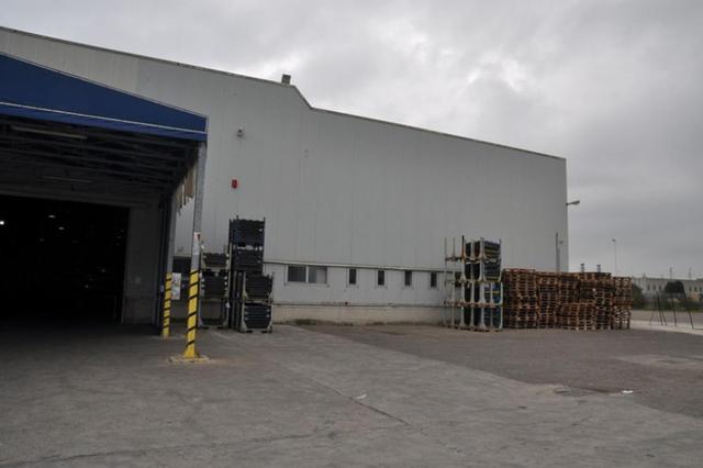 #14957 Capannone industriale con uffici e alloggio custode in vendita - foto 77