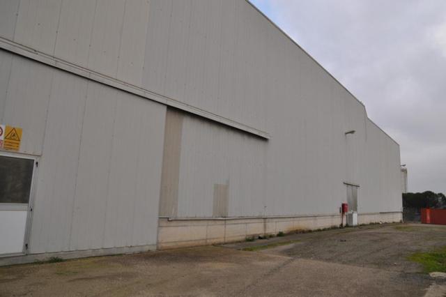 #14957 Capannone industriale con uffici e alloggio custode in vendita - foto 17