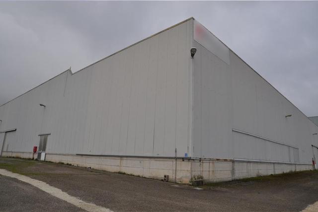 #14957 Capannone industriale con uffici e alloggio custode in vendita - foto 15