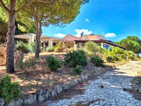 Agriturismi in vendita