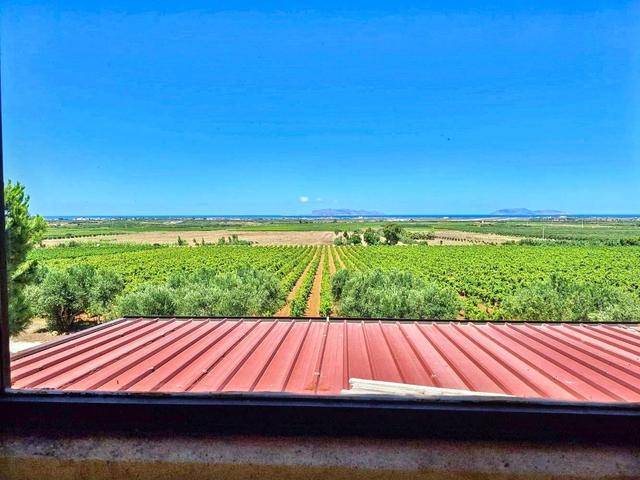 Agriturismi in vendita