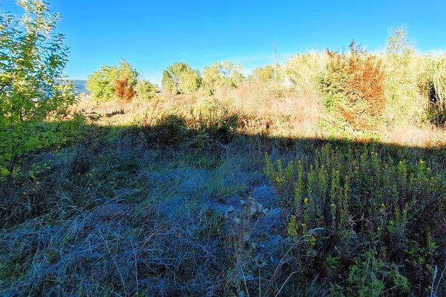 Edificabili in vendita