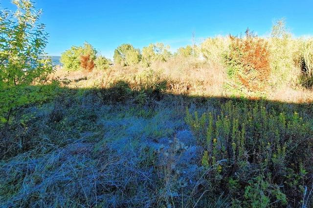 Edificabili in vendita