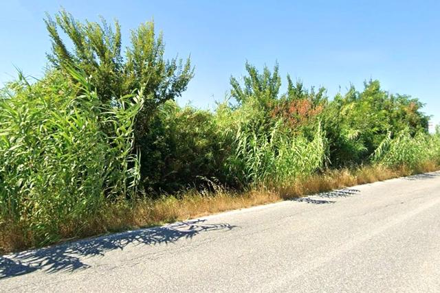 Edificabili in vendita