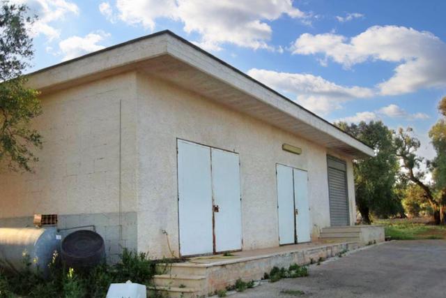 #19933 Stabilimento produttivo con pertinenze e terreno in vendita - foto 9