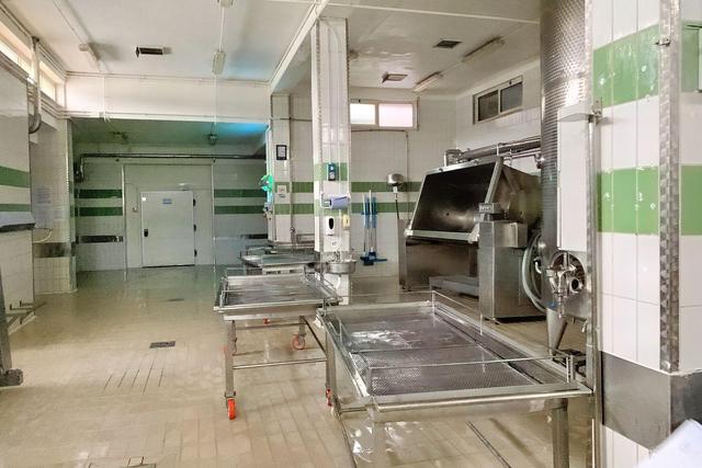 Stabilimenti produttivi in vendita