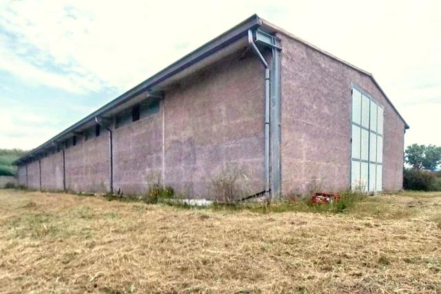 Magazzini in vendita