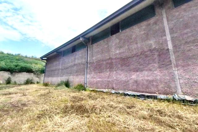 Magazzini in vendita