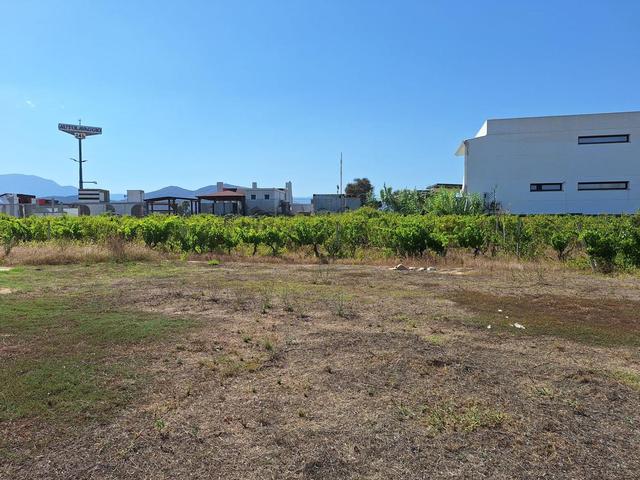 #24291 Stabilimento cantina costituito da fabbricato e attrezzature in vendita - foto 36