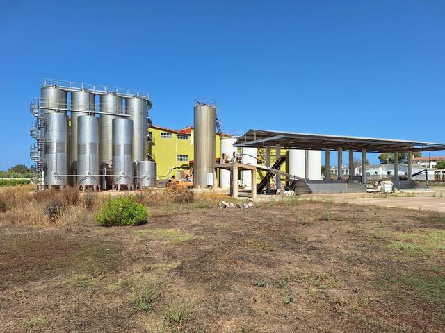 #24291 Stabilimento cantina costituito da fabbricato e attrezzature in vendita - foto 37