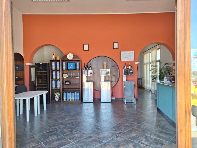 #24291 Stabilimento cantina costituito da fabbricato e attrezzature in vendita - foto 42