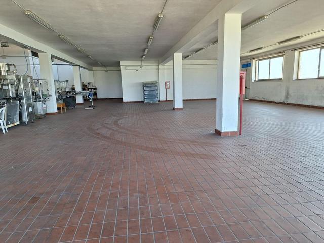 #24291 Stabilimento cantina costituito da fabbricato e attrezzature in vendita - foto 34