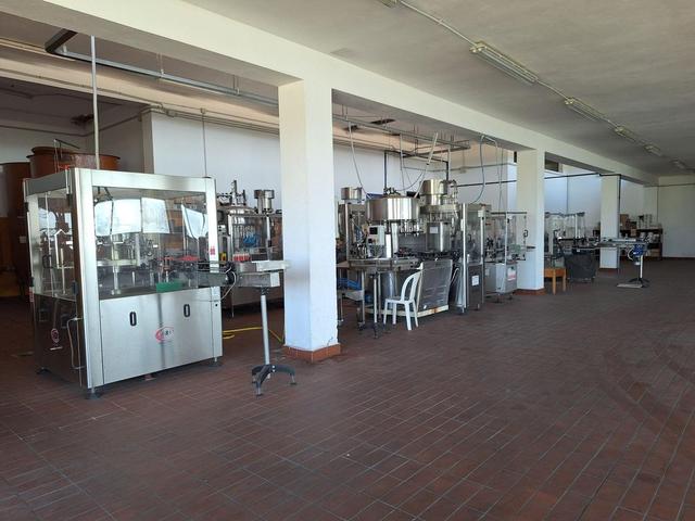 #24291 Stabilimento cantina costituito da fabbricato e attrezzature in vendita - foto 23