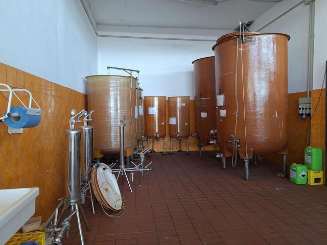 #24291 Stabilimento cantina costituito da fabbricato e attrezzature in vendita - foto 13