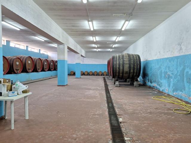 #24291 Stabilimento cantina costituito da fabbricato e attrezzature in vendita - foto 6