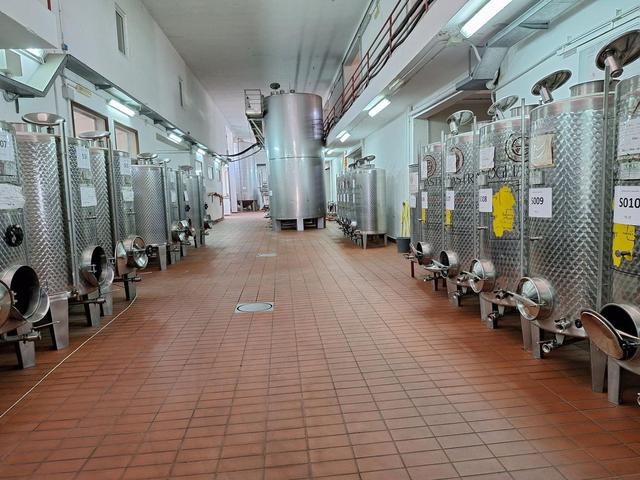 #24291 Stabilimento cantina costituito da fabbricato e attrezzature in vendita - foto 7