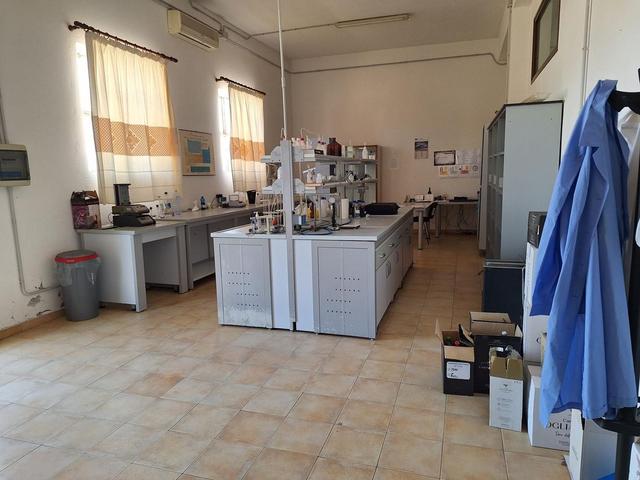 #24291 Stabilimento cantina costituito da fabbricato e attrezzature in vendita - foto 9