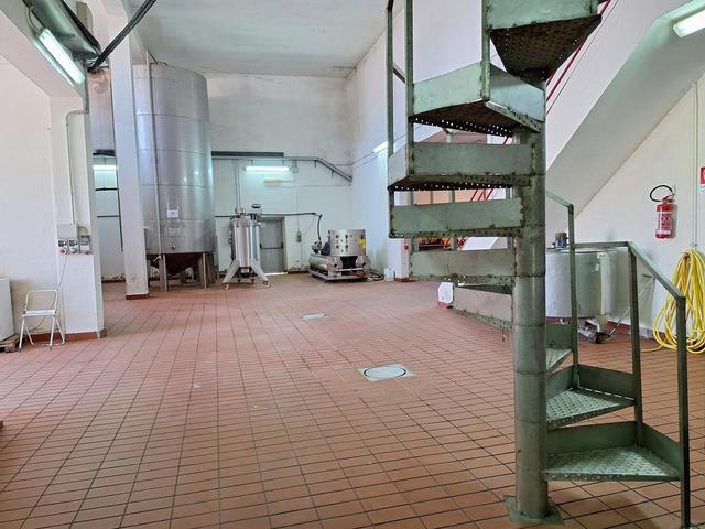 #24291 Stabilimento cantina costituito da fabbricato e attrezzature in vendita - foto 10