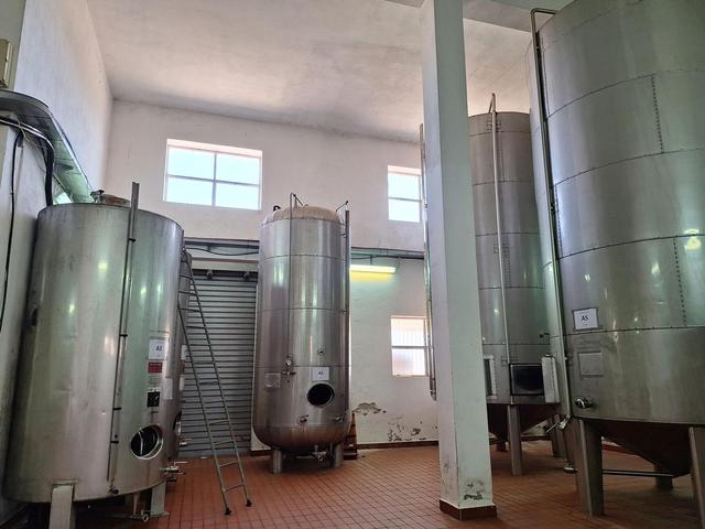 #24291 Stabilimento cantina costituito da fabbricato e attrezzature in vendita - foto 11