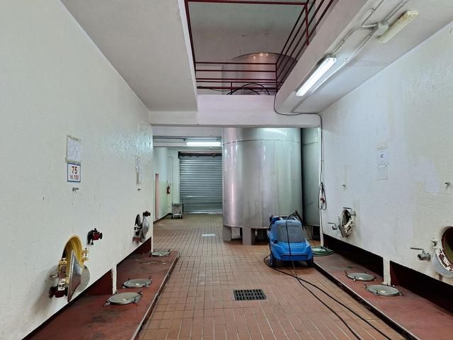 #24291 Stabilimento cantina costituito da fabbricato e attrezzature in vendita - foto 3