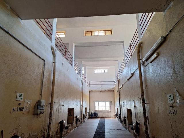 #24291 Stabilimento cantina costituito da fabbricato e attrezzature in vendita - foto 18