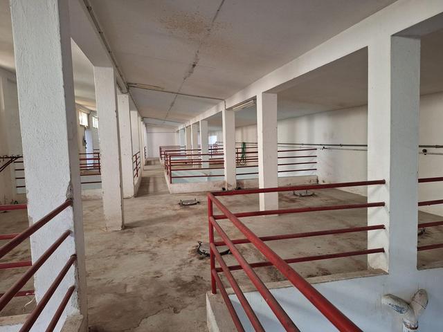 #24291 Stabilimento cantina costituito da fabbricato e attrezzature in vendita - foto 19