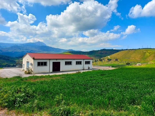 #19818 Capannone con terreni agricoli in vendita - foto 1