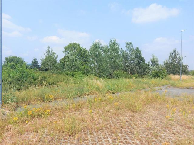 #22853 Terreni edificabili di mq 22016 per attività artigianali-produttive in vendita - foto 12