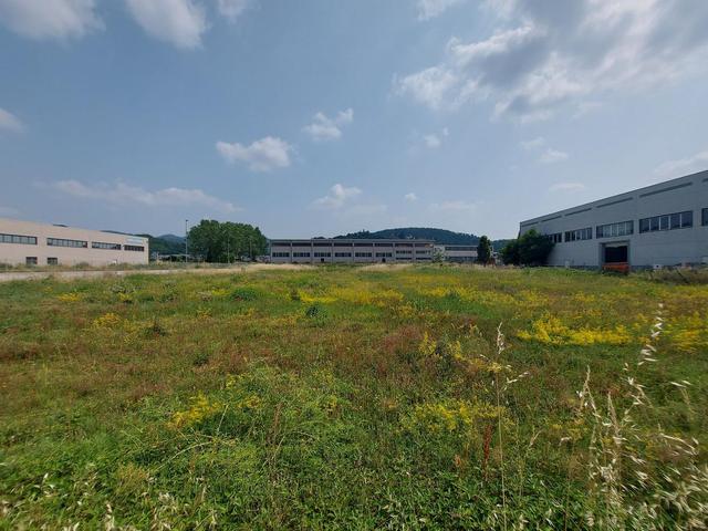 #22853 Terreni edificabili di mq 22016 per attività artigianali-produttive in vendita - foto 4