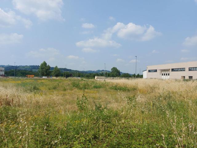 Edificabili in vendita