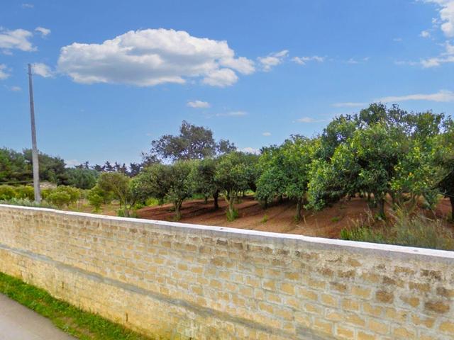 Agricoli in vendita