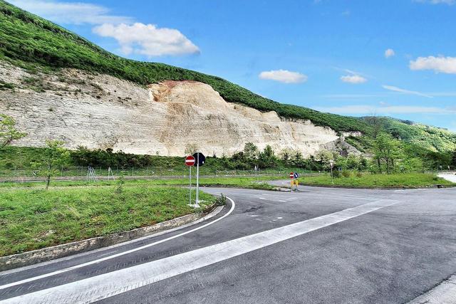 Agricoli in vendita
