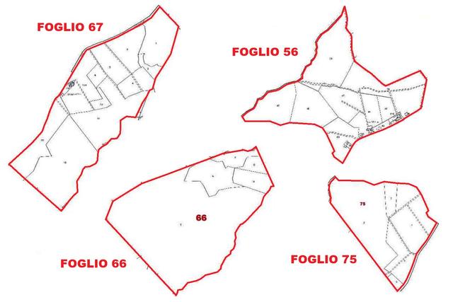estratto di mappa