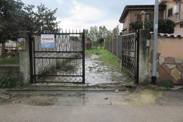#14735 Capannone commerciale e corte privata in vendita - foto 3