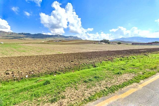 #2536005 Terreni agricoli di complessivi 39.631 mq in vendita - foto 4