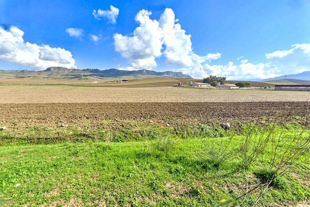 #2536005 Terreni agricoli di complessivi 39.631 mq in vendita - foto 6