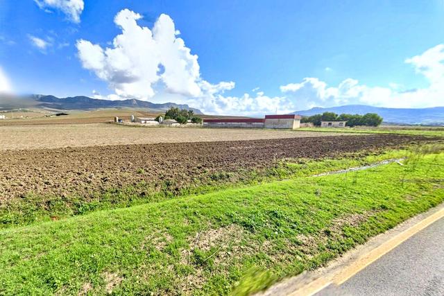 #2536005 Terreni agricoli di complessivi 39.631 mq in vendita - foto 7