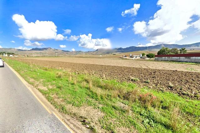 #2536005 Terreni agricoli di complessivi 39.631 mq in vendita - foto 8