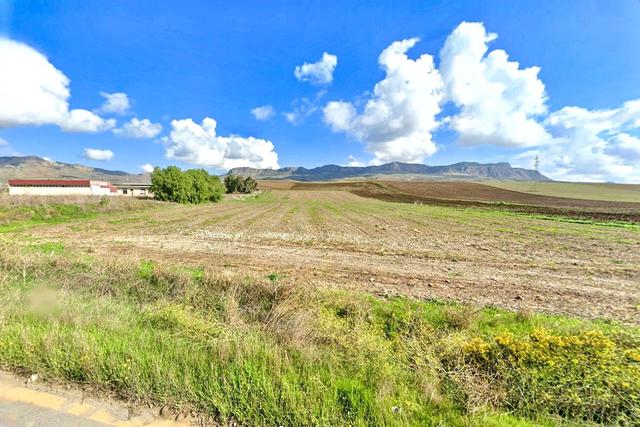 #2536005 Terreni agricoli di complessivi 39.631 mq in vendita - foto 9