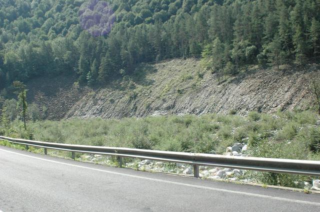 #13070 Terreno boschivo alberato in vendita - foto 4