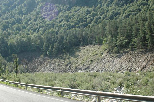 #13070 Terreno boschivo alberato in vendita - foto 5