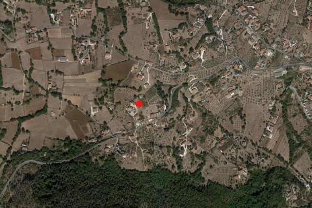Agricoli in vendita