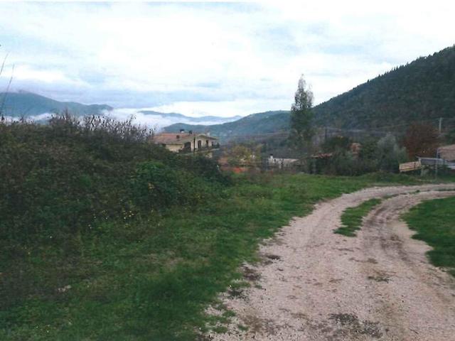 Agricoli in vendita