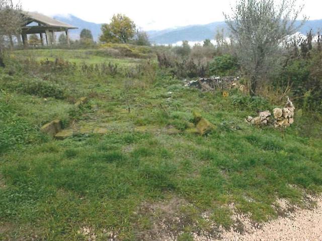 Agricoli in vendita