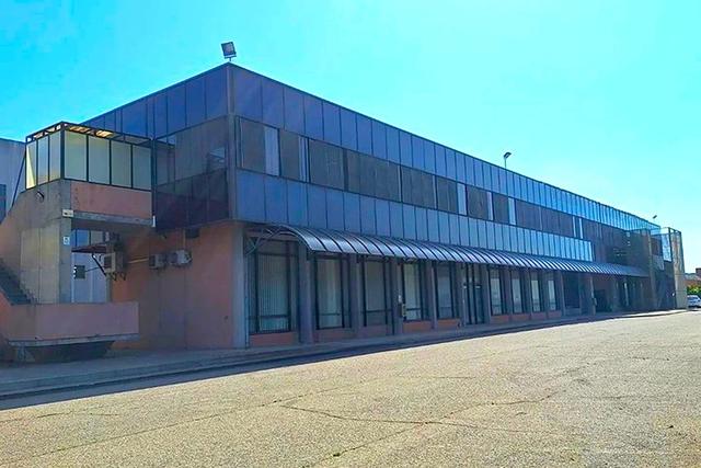 Grandi dimensioni in vendita