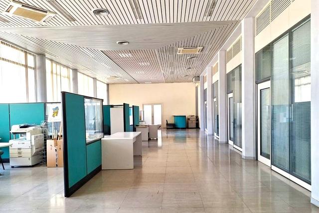 Grandi dimensioni in vendita