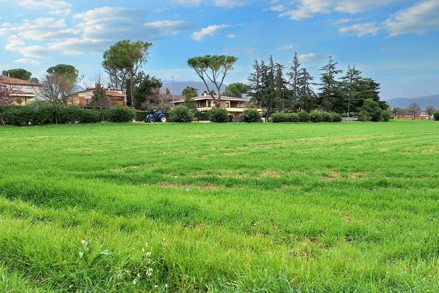 #22552 Comparto edificatorio di 39.938 mq in vendita - foto 10
