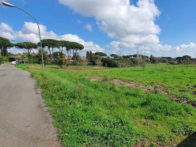 Agricoli in vendita
