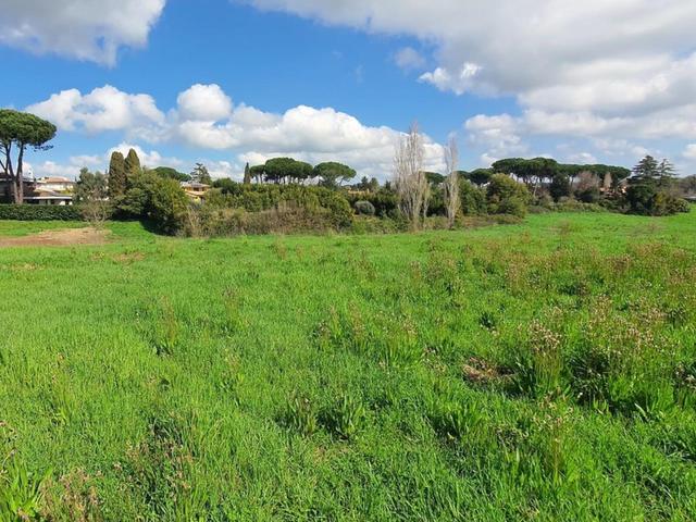 Agricoli in vendita