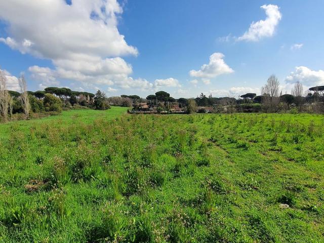 Agricoli in vendita